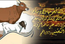 করোনায় কুরবানি