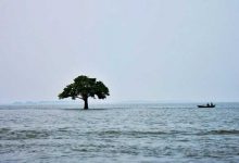 Asaduzzaman Shamrat, Senior Journalist and Climate Activist