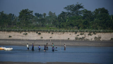 নদী থেকে পাথর উত্তেলন করছেন শ্রমিকেরা।মহানন্দা নদী,তেতুলিয়া,পঞ্চগড়,ছবিঃমাসুদার রহমান
