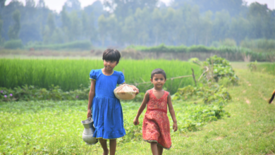 কৃষক কাকা ডাকা ভোরে কাজ করতে মাঠে গিয়েছে।তার দুই কন্যা সকালের খাবার নিয়ে বাবার কাছে যাচ্ছে।২৪ সেপ্টেম্বর,চন্ডিপুর গ্রাম,পীরগঞ্জ,রংপুর,ছবিঃমাসুদার রহমান