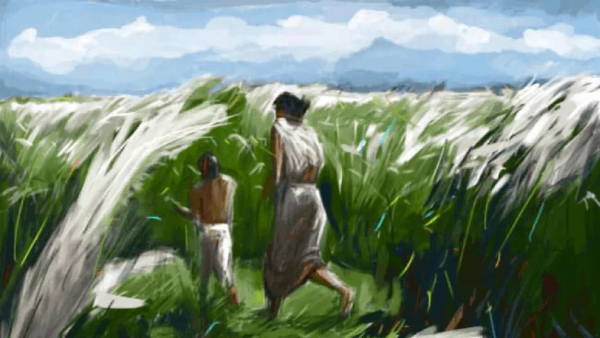 ঢাকার কাছেই ৭টি সেরা কাশবন