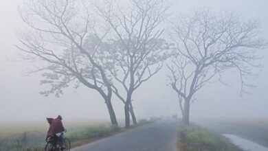 তেতুলিয়ায়