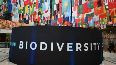 নতুন দিল্লি