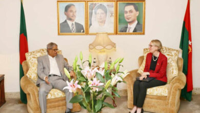 বিএনপির মহাসচিব মির্জা ফখরুল ইসলাম আলমগীরের সঙ্গে সোমবার বৈঠক করেন ঢাকায় নিযুক্ত ব্রিটিশ হাইকমিশনার সারাহ কুক।