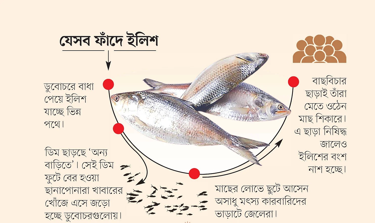 প্রতিকূলতায় পথ বদলাচ্ছে ইলিশ!