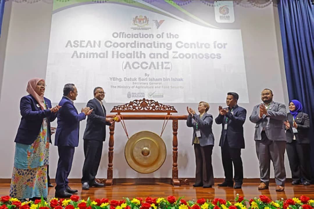 আহমাদুল কবির