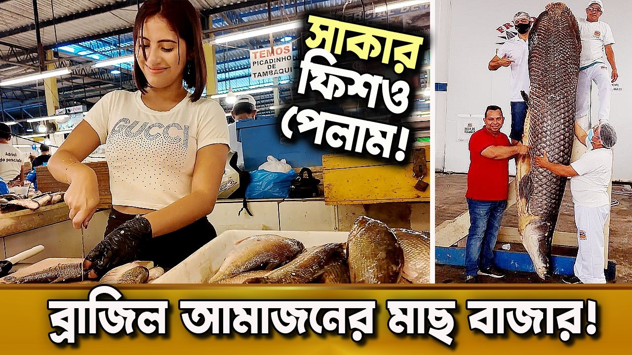 ব্রাজিলের বিখ্যাত মাছ বাজার! জীবনে না দেখা মাছের মেলা! দুনিয়ার গল্প | Karamot Ullah Biplob