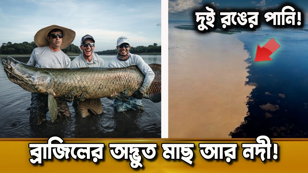 আমাজনের দুই রঙের পানির রহস্য! | ব্রাজিলের নদী দেখে হতবাক! | দুনিয়ার গল্প | Karamot Ullah Biplob