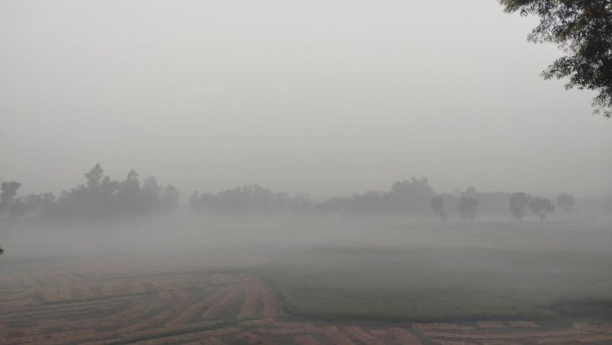 দেশের সর্ব উত্তরের জেলা পঞ্চগড়ে জেঁকে বসেছে শীত।