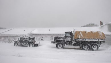 রেকর্ড তুষারঝড়ে বিপর্যস্ত যুক্তরাষ্ট্র, বাতিল ৫ হাজারের বেশি ফ্লাইট