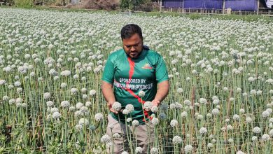 রাজবাড়ী