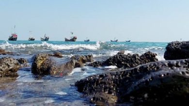 নিজস্ব আলোকচিত্রী