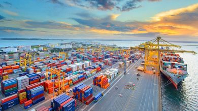 জানুয়ারি মাসে ৪৪১ কোটি ডলারের পণ্য রফতানি, ঋণাত্মক ০.৫০%