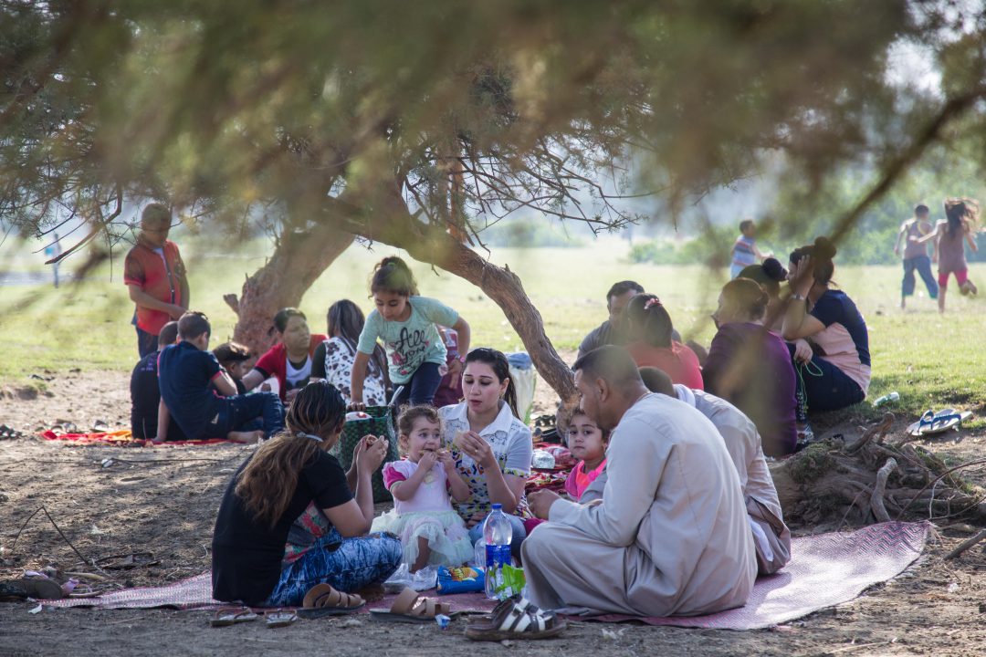 আফছার হোসাইন (মিশর থেকে)
