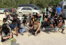 আহমাদুল কবির