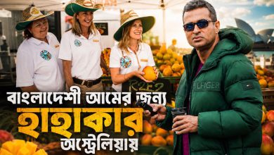 বাংলাদেশী আমের জন্য হাহাকার অস্ট্রেলিয়ায়! | Bangladeshi Mango Export Potential in Australia