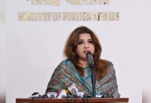 পররাষ্ট্র প্রতিমন্ত্রী শামা ওবায়েদ ইসলাম। ফাইল ছবি