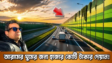 আরামের ঘুমের জন্য হাজার কোটি টাকার দেয়াল! | Poland's Massive Highway Sound Barriers