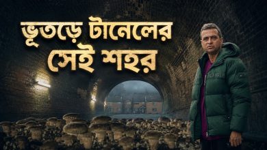 কেনো এই শহরের মানুষ এতো চুপচাপ? | The Haunted Picton Town & Mushroom Tunnel