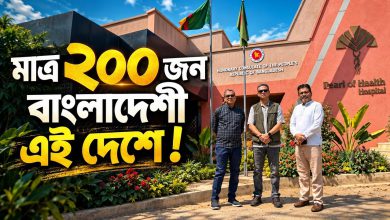 পাসপোর্ট, সম্মান, অর্থ সবই মেলে এই দেশে | Bangladeshi Probashi in Zambia